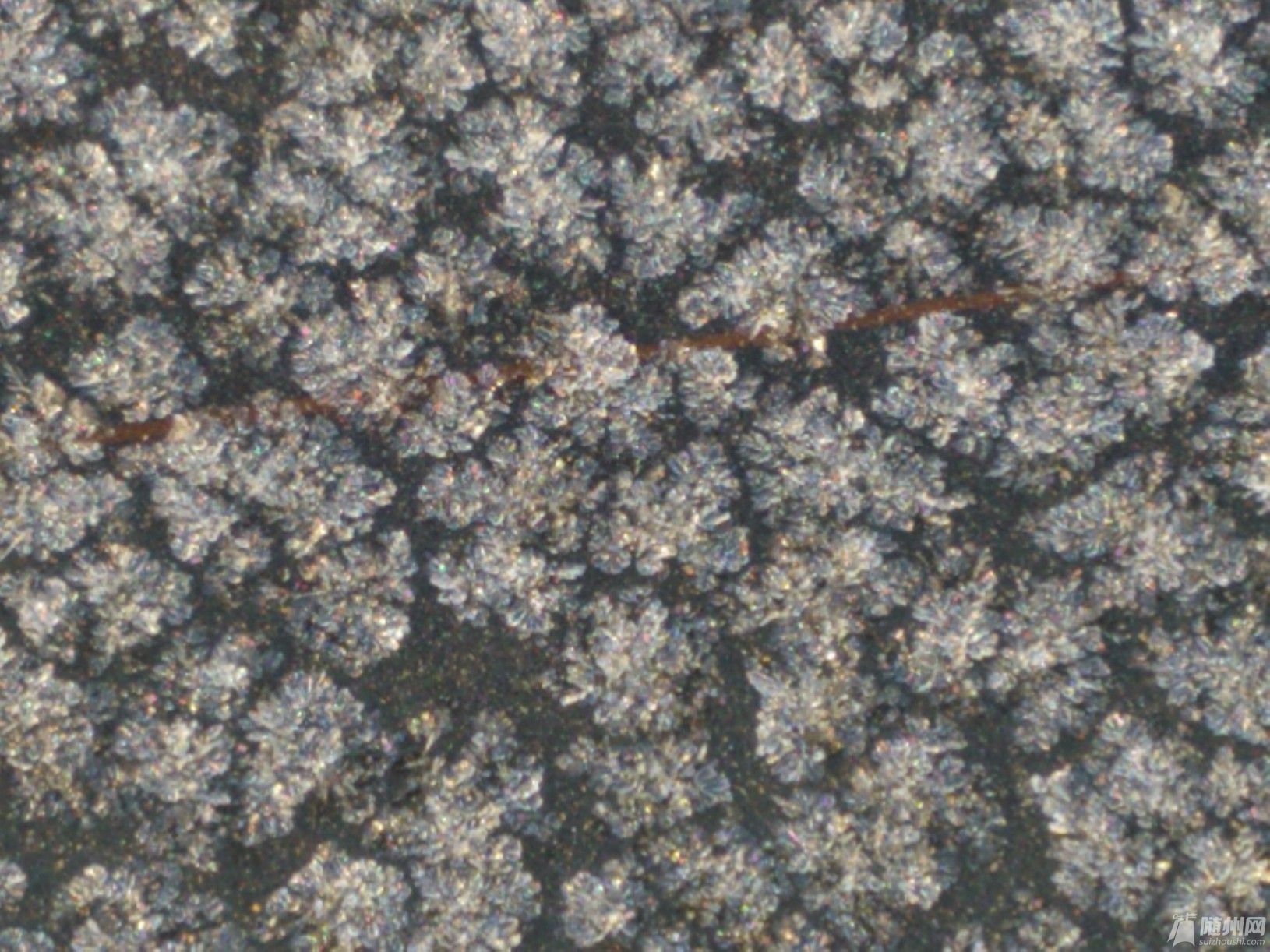 WP_000302.jpg