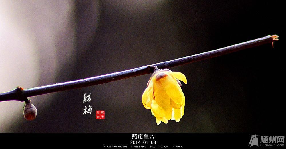dsc_2782_副本.jpg