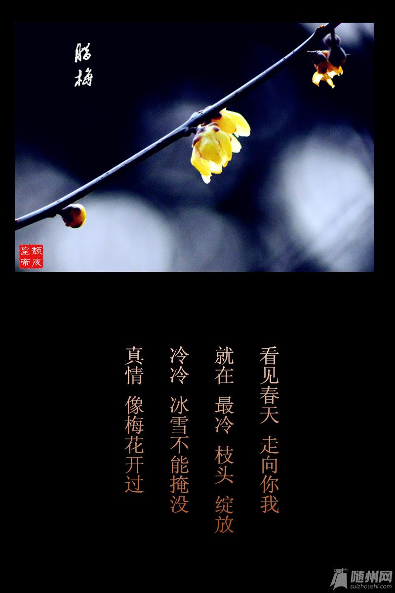 黑色背景_副本_副本.jpg