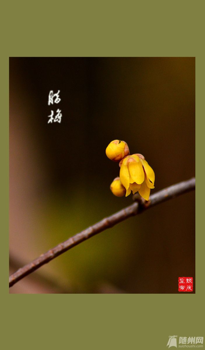 未命名_副本.jpg