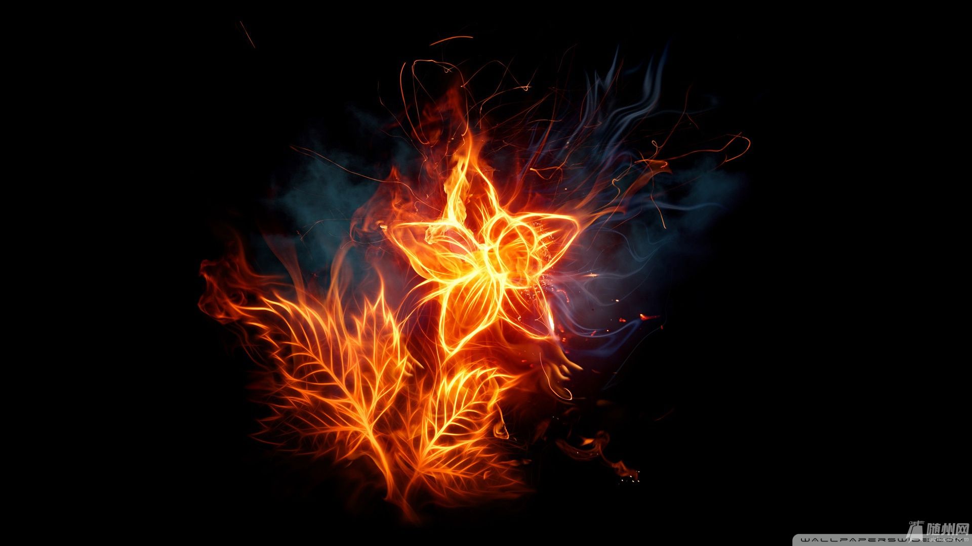 wallpaper_5247896.jpg