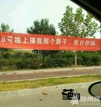 .jpg