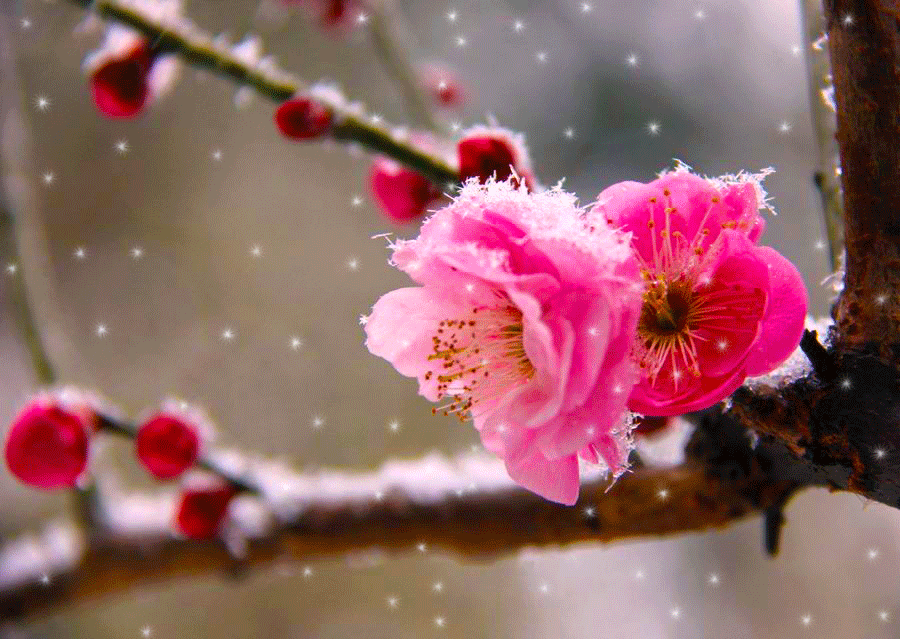 QQ图片20140206174102.gif