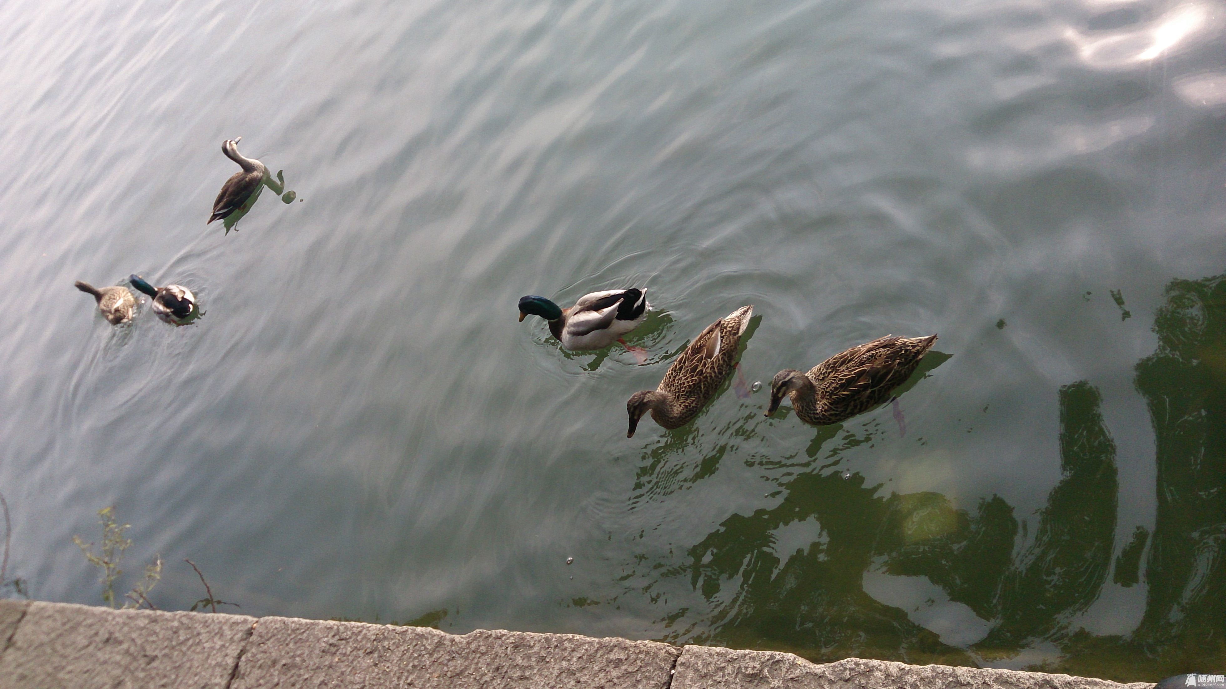 DSC_0127.jpg