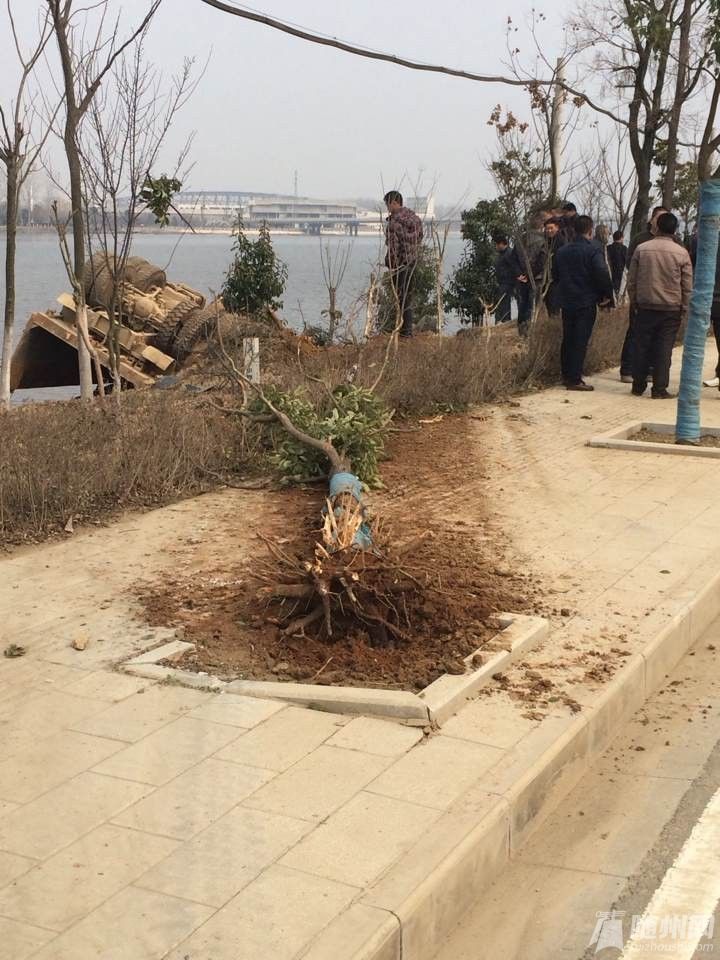 QQ图片20140305152702.jpg