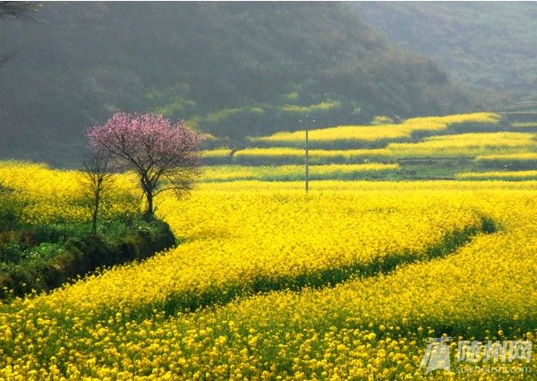 QQ截图20140307144901.jpg