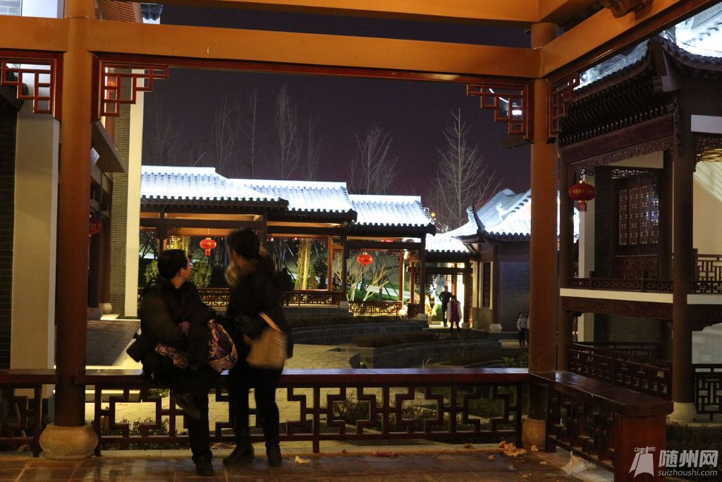 文化公园三八节的夜晚 (7).jpg