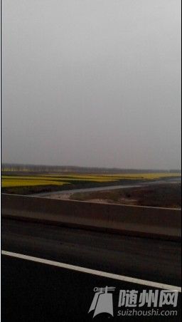 QQͼƬ20140324181334.jpg