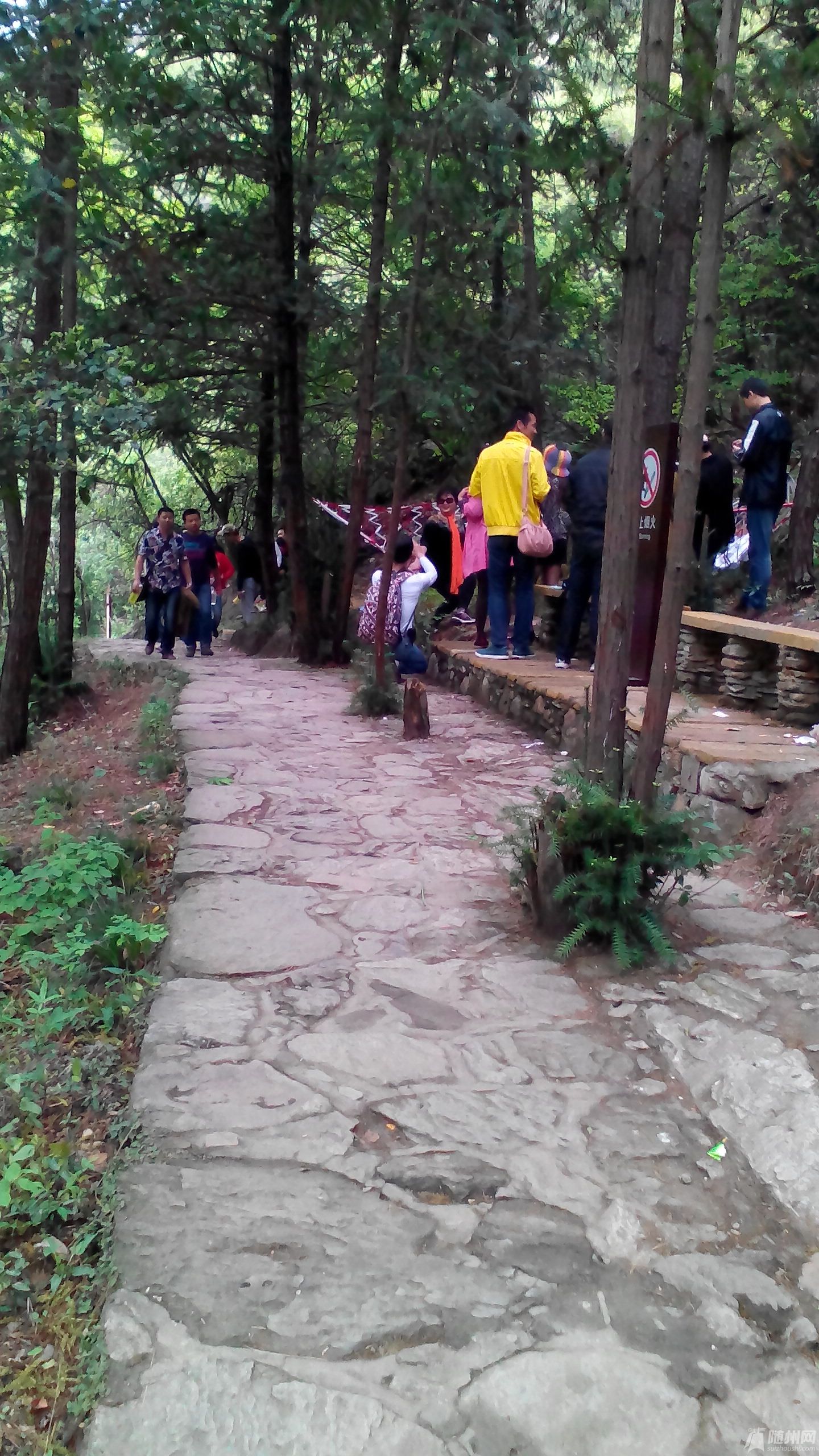 IMG_20140413_132552.jpg