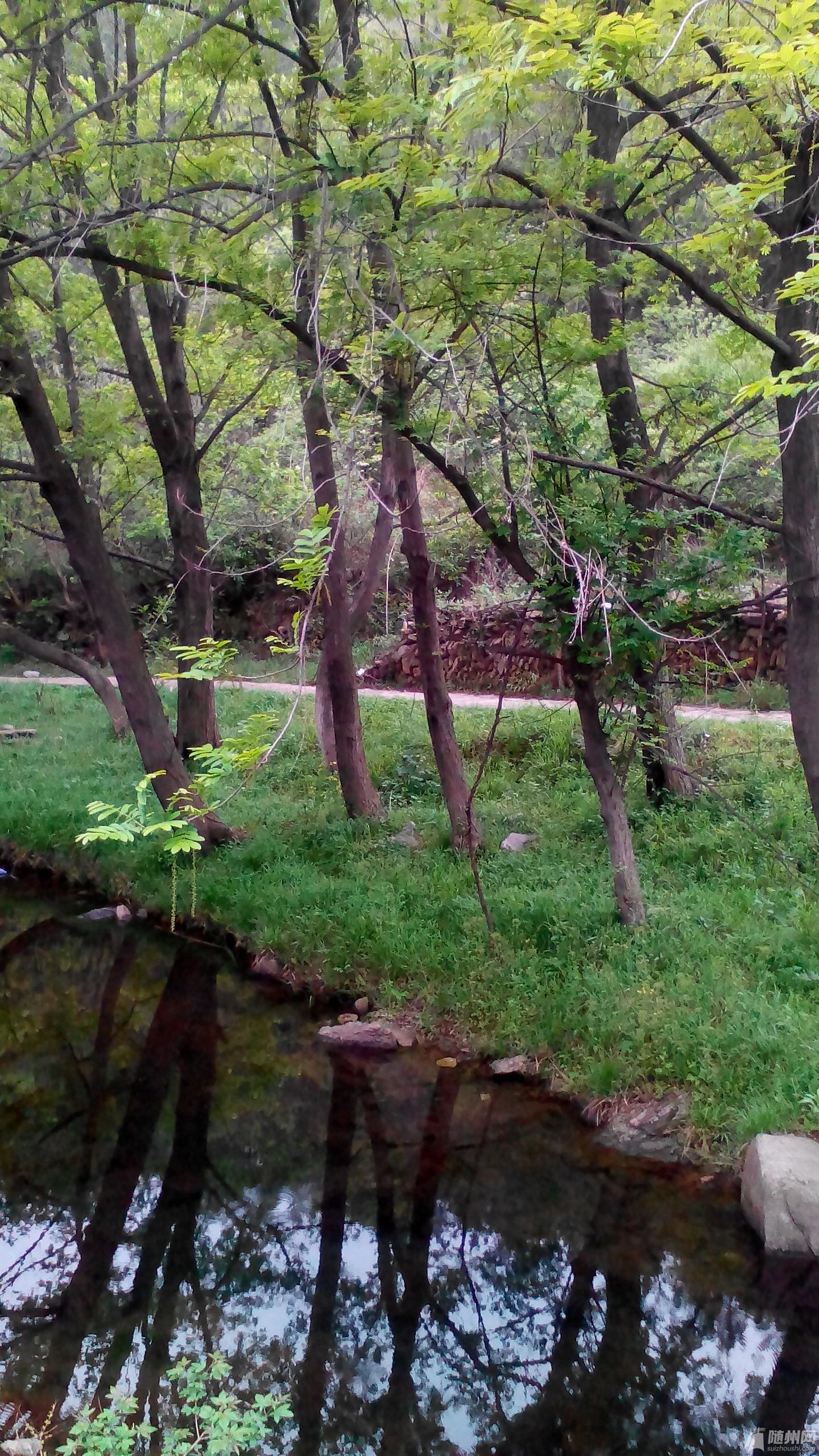 IMG_20140413_160147.jpg