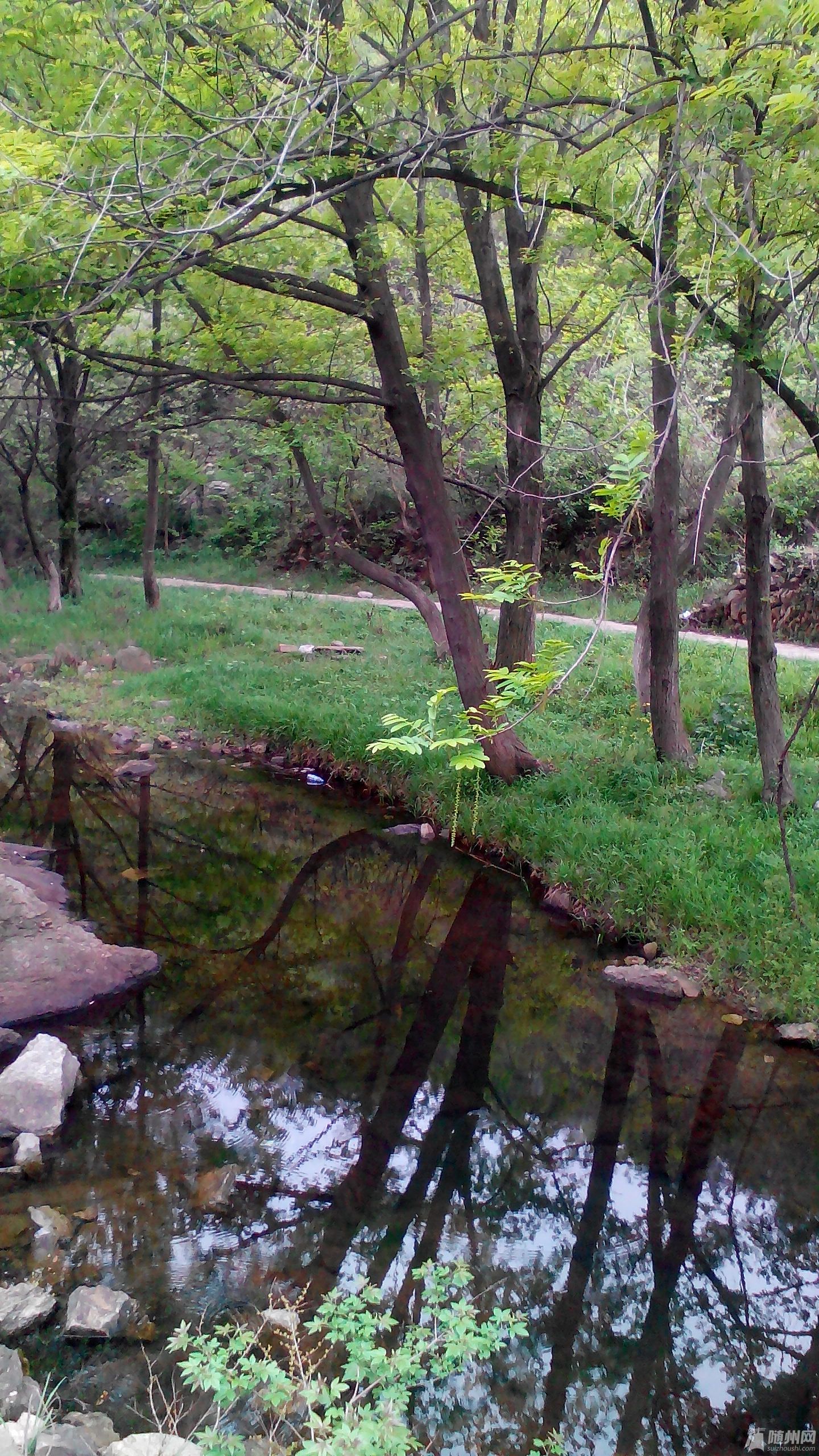 IMG_20140413_160153.jpg