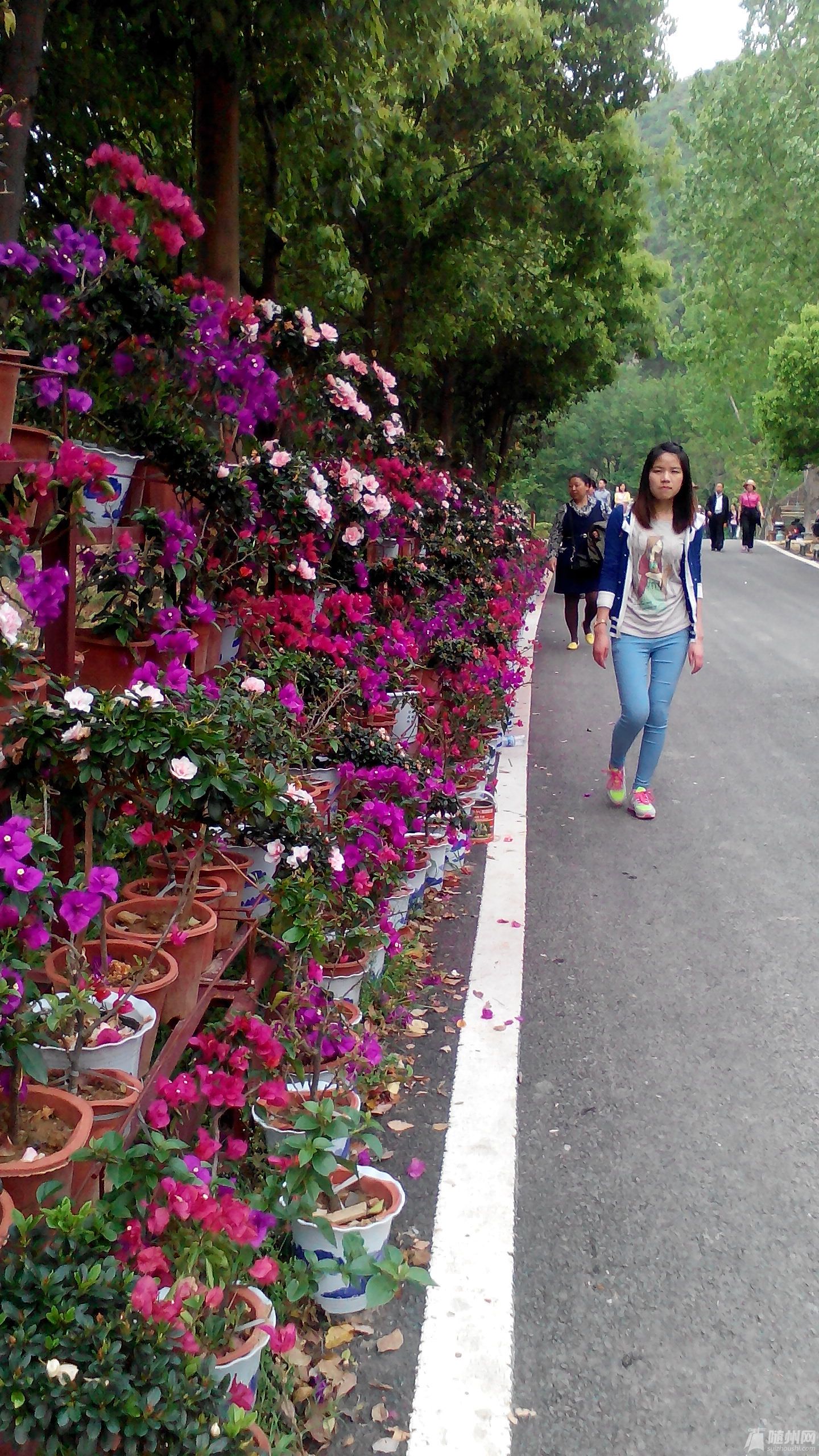 IMG_20140413_160938.jpg