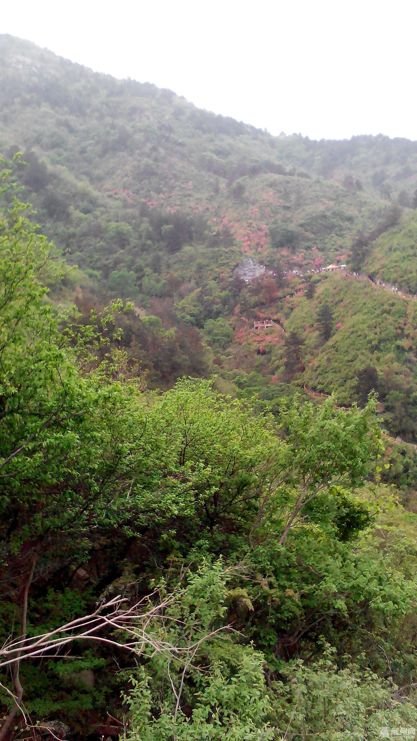IMG_20140413_142011.jpg