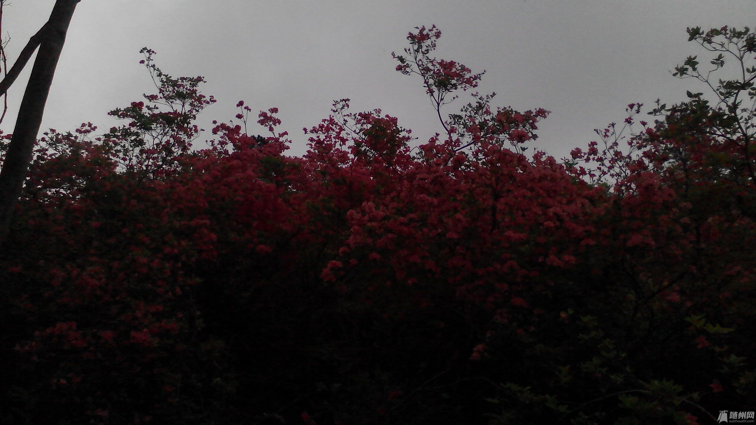 IMG_20140413_151705.jpg