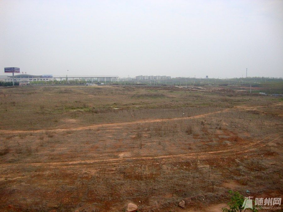 DSC07906.jpg