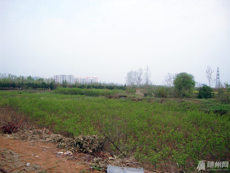DSC07916.jpg
