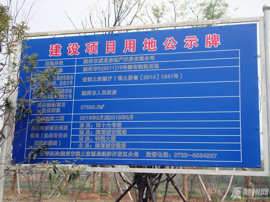 DSC07929.jpg