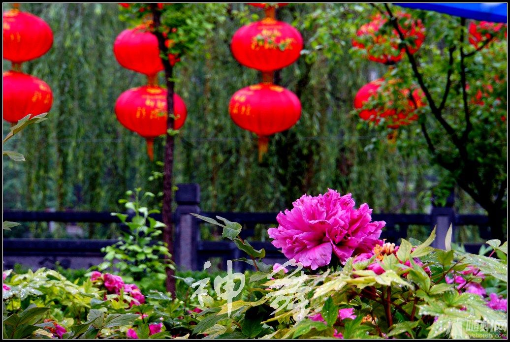 DSC04157_.jpg