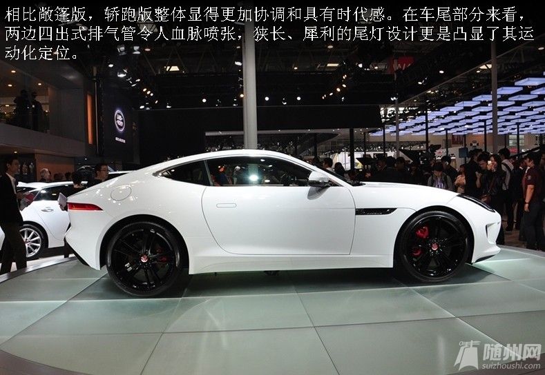 ݱF-Type 05.jpg