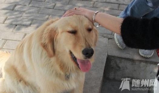 QQͼƬ20140424091230.jpg