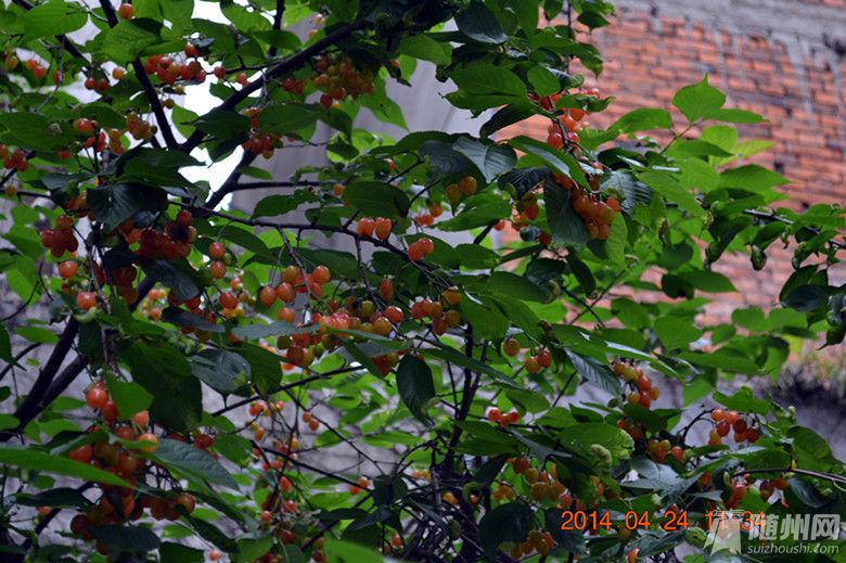 DSC_0132_.jpg