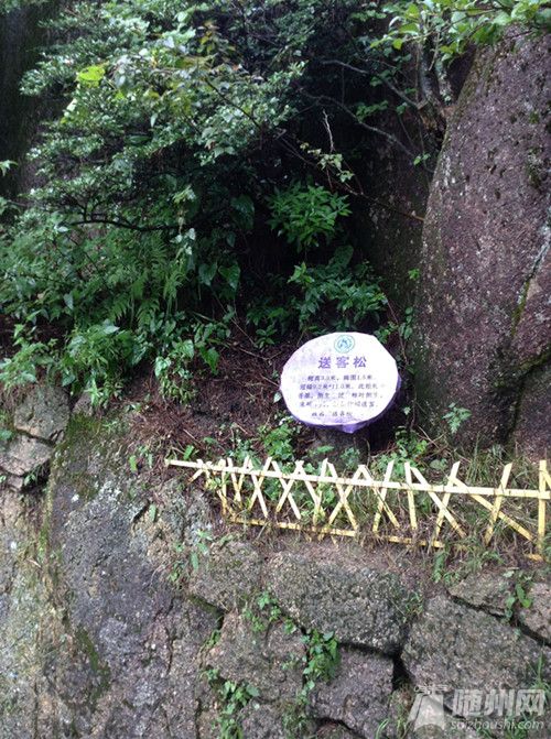 QQͼƬ20140511230545.jpg