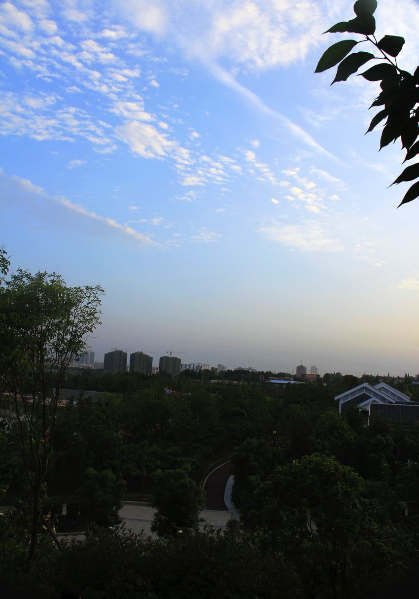_MG_3324.JPG