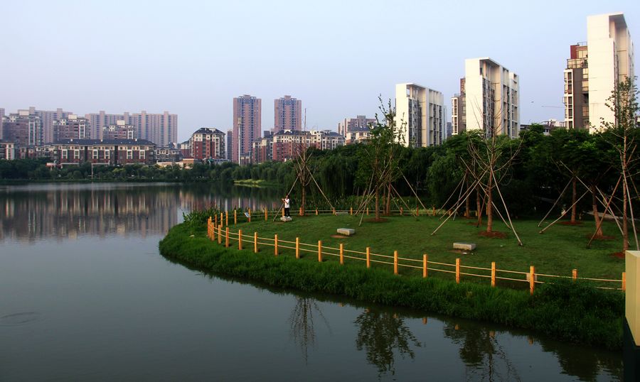_MG_3767.JPG