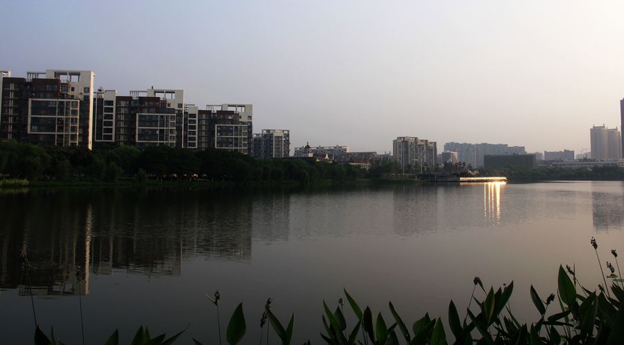 _MG_3785.JPG