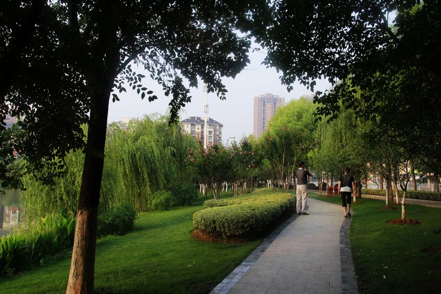 _MG_3778.JPG