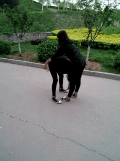 5.gif