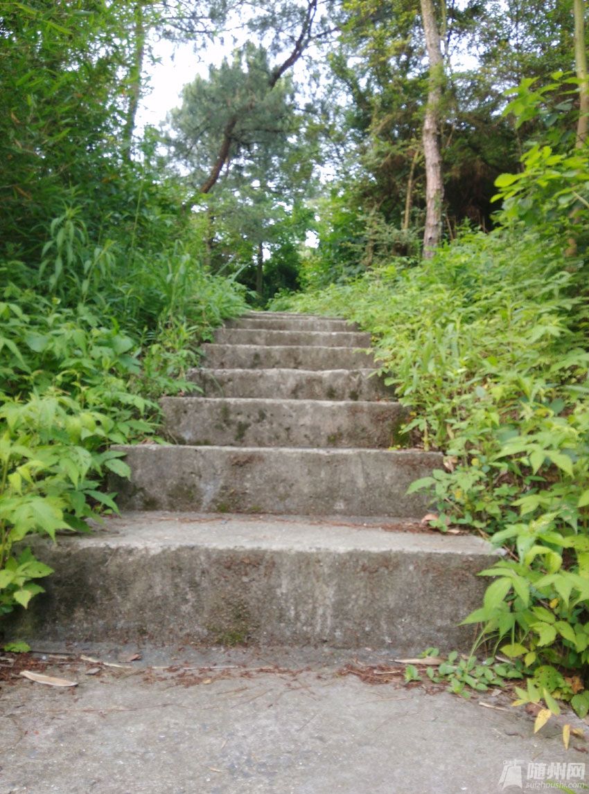 06.jpg
