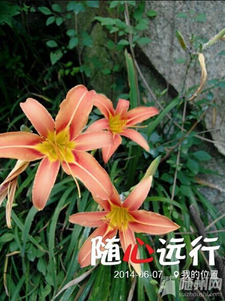 9H@INVG7J@CO33P2S``U1}3.jpg