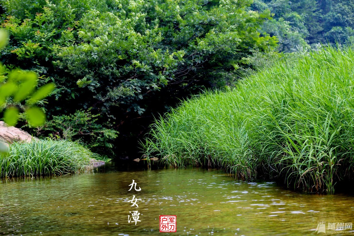 九女潭 (1030).jpg