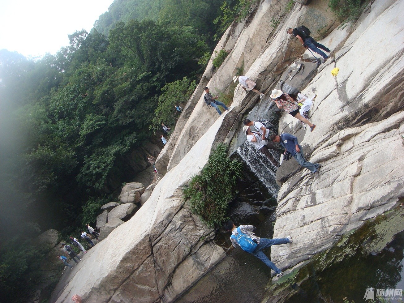 DSC04845.JPG