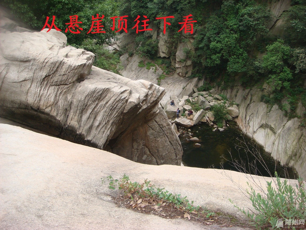 DSC04917.JPG