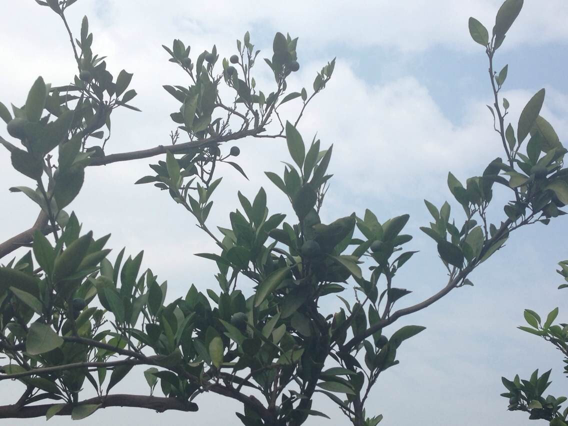 QQ图片20140628192103.jpg