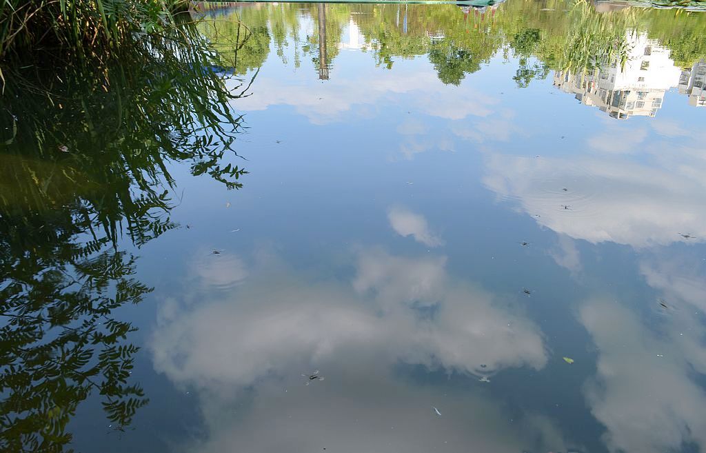 DSC_0141.JPG