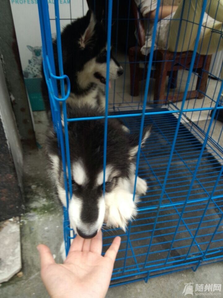 QQ图片20140712195832.jpg