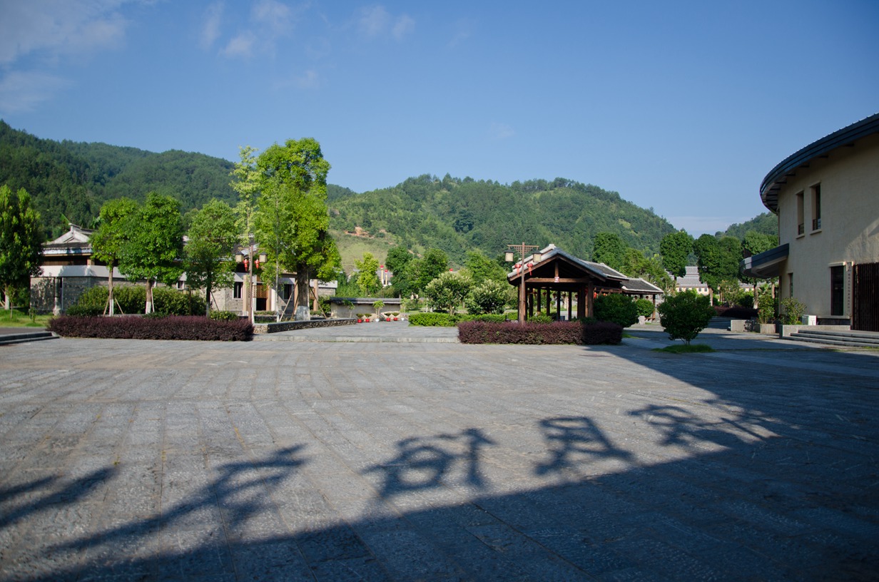 DSC_7519.jpg