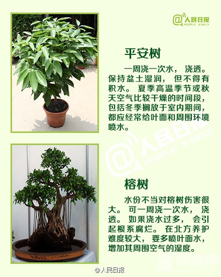 a716fd45jw1ehp2ur7dpbj20c8170jxy.jpg