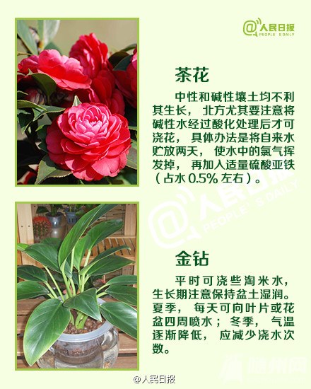 a716fd45jw1eic2xx0cotj20c80fadjh.jpg