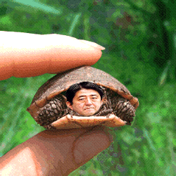 这就是安倍
