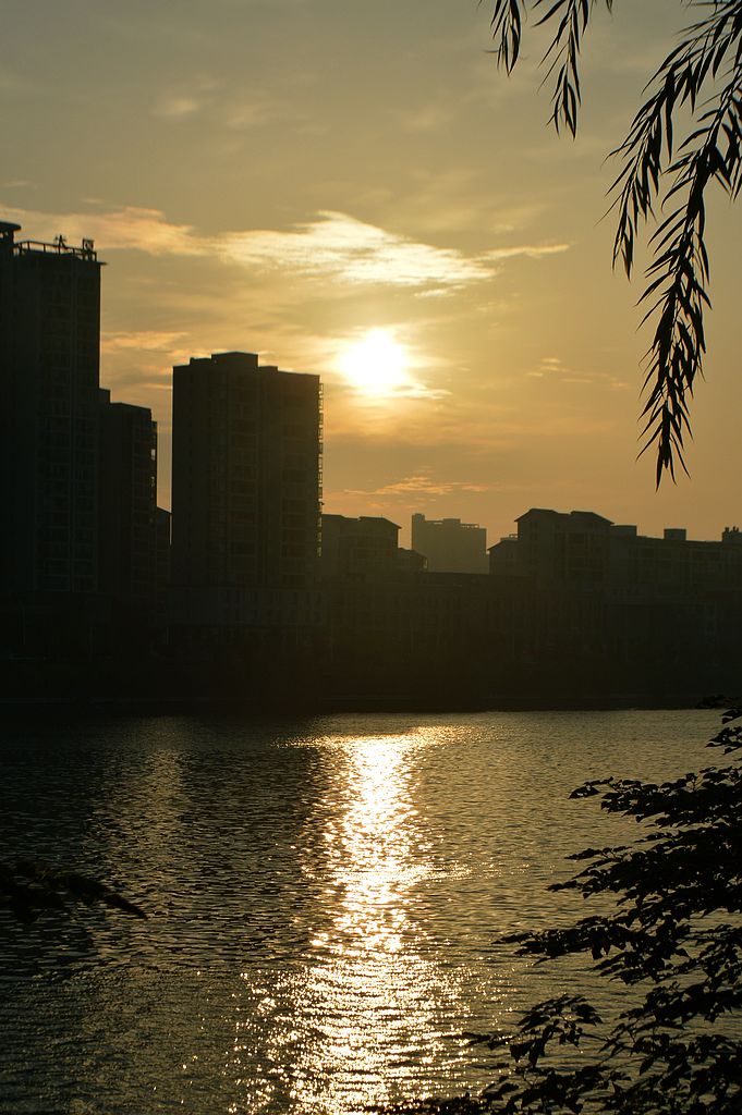 DSC_0175.JPG