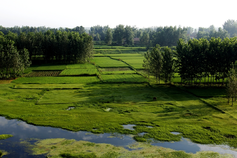 _MG_4920.JPG