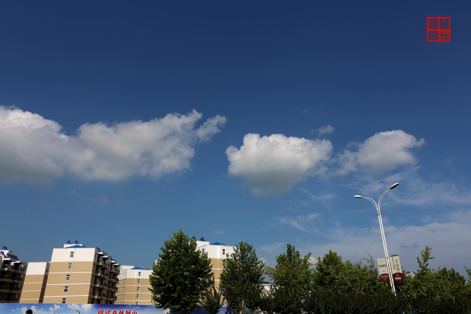 4G8A1265_.jpg