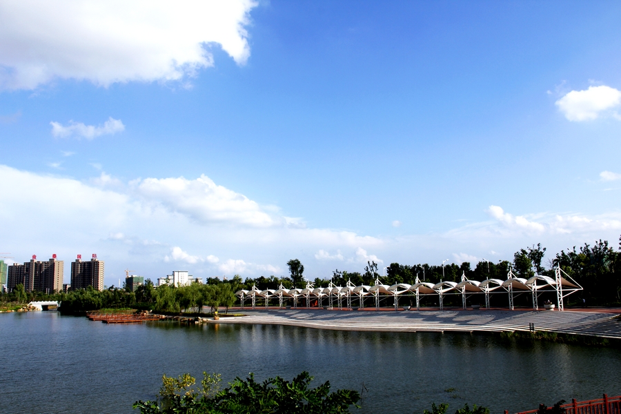 _MG_5167.JPG