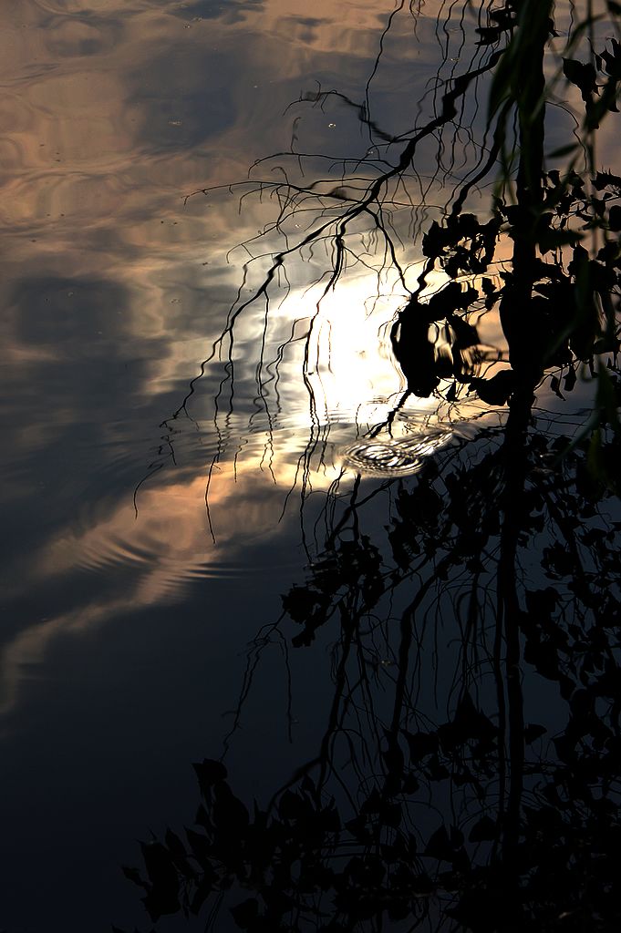 DSC_0015.JPG
