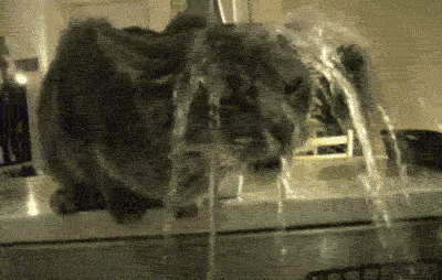 psb.gif