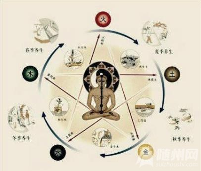 清扫人体内的垃圾